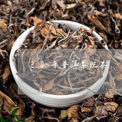 20年普洱茶陀茶/2023031524967