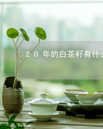 20年的白茶籽有什么作用/2023033136517