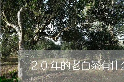 20年的老白茶有什么功效/2023033101737