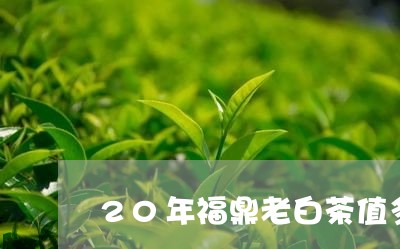 20年福鼎老白茶值多少钱/2023033150517