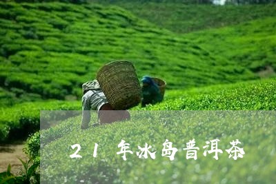 21年冰岛普洱茶/2023041259313