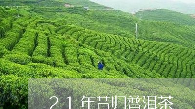 21年昔归普洱茶/2023031726282