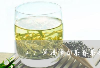 21年福鼎白茶春茶好不好/2023033104846