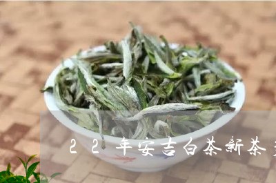 22年安吉白茶新茶多少钱/2023033117582