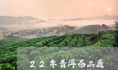 22年普洱茶品质/2023031870695