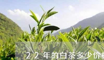 22年的白茶多少价格一盒/2023033170683