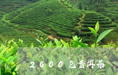 2600克普洱茶/2023041078472