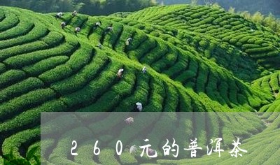 260元的普洱茶/2023031658694