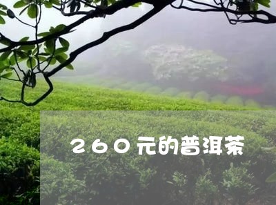 260元的普洱茶/2023041207393