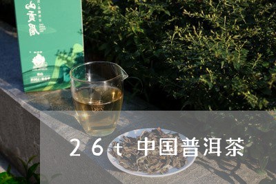 26t中国普洱茶/2023040149372