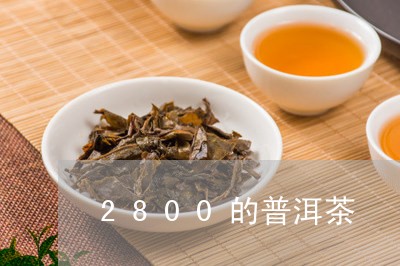 2800的普洱茶/2023041006260