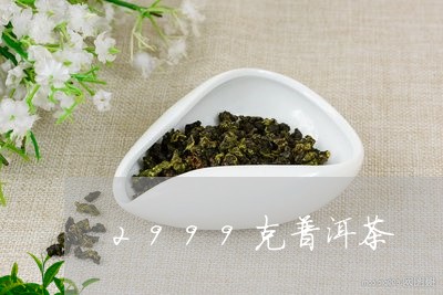 2999克普洱茶/2023041002848