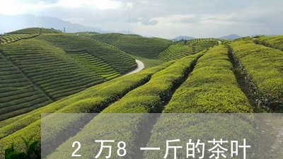 2万8一斤的茶叶/2023032663935