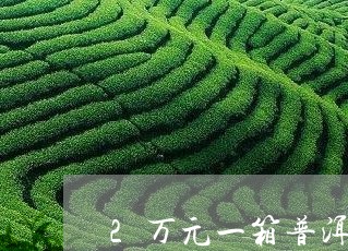 2万元一箱普洱茶/2023033040626