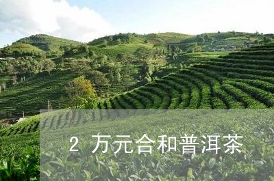 2万元合和普洱茶/2023033124371