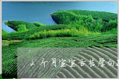 2个月宝宝舌苔厚白茶叶洗/2023033142949