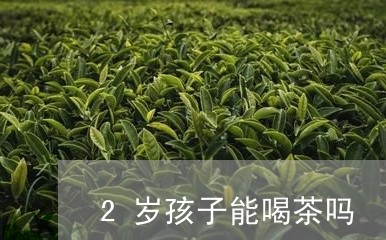 2岁孩子能喝茶吗/2023032530714