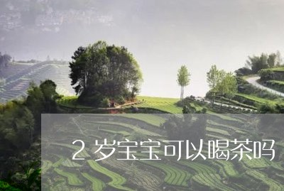 2岁宝宝可以喝茶吗/2023041622603