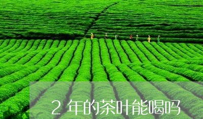 2年的茶叶能喝吗/2023032651617