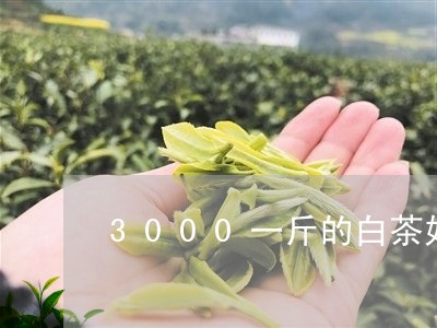 3000一斤的白茶好不好/2023033050816