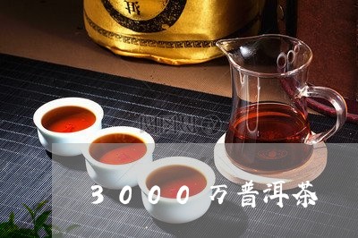 3000万普洱茶/2023041047271