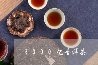 3000亿普洱茶/2023041026279