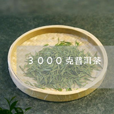 3000克普洱茶/2023041160614