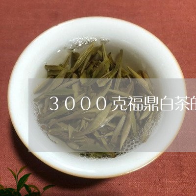 3000克福鼎白茶的价格/2023033083927