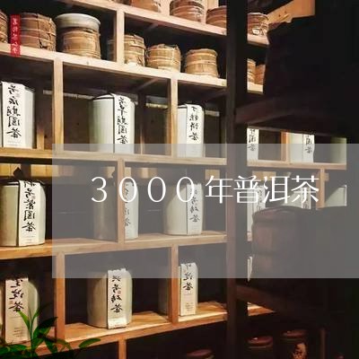 3000年普洱茶/2023031780713