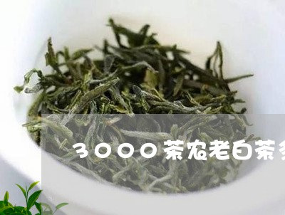 3000茶农老白茶多少钱/2023033063958