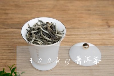 300kg普洱茶/2023031685847