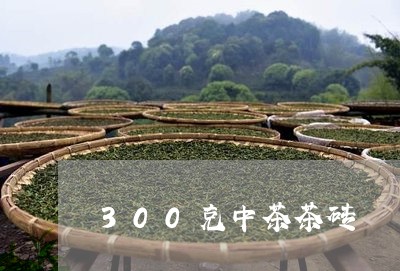 300克中茶茶砖/2023032493713