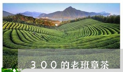 300的老班章茶/2023032853826