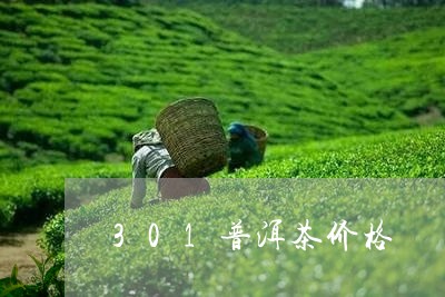 301普洱茶价格/2023041059712