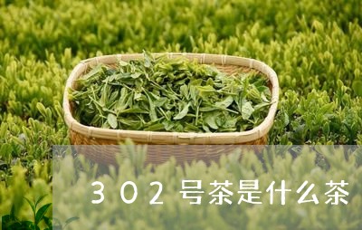 302号茶是什么茶/2023041591915