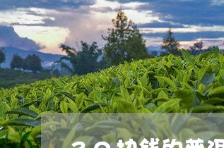 30块钱的普洱茶/2023033104929