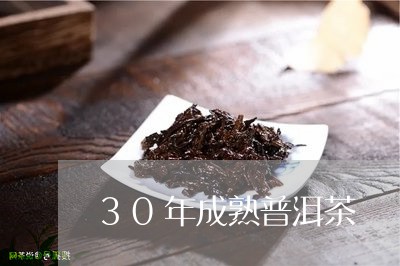 30年成熟普洱茶/2023033092846