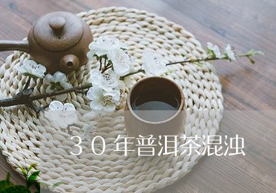 30年普洱茶混浊/2023031652706