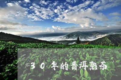 30年的普洱熟茶/2023032906058