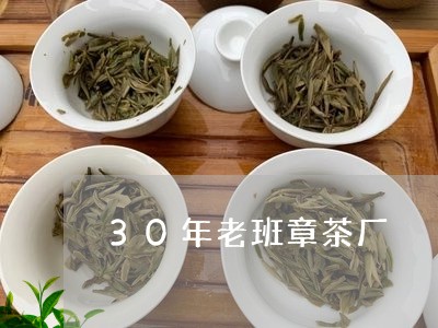 30年老班章茶厂/2023032920491