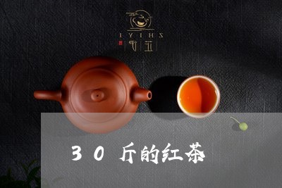 30斤的红茶/2023032398381