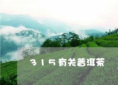 315有关普洱茶/2023041084058