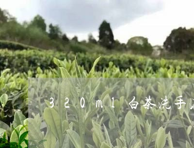 320ml白茶洗手液推荐/2023033137369