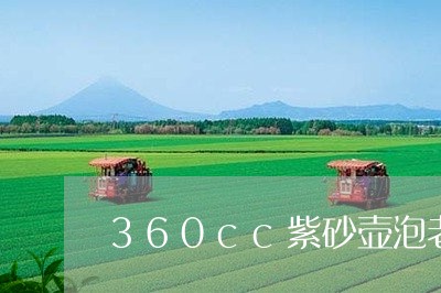 360cc紫砂壶泡老白茶/2023033103957