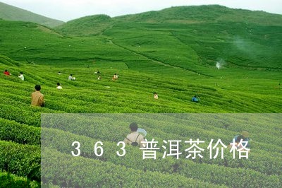 363普洱茶价格/2023041085158