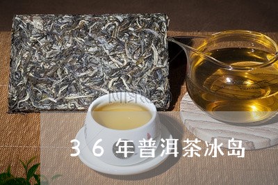 36年普洱茶冰岛/2023041226068