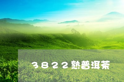 3822熟普洱茶/2023041070805