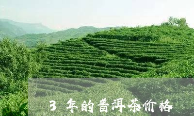 3年的普洱茶价格/2023041297582