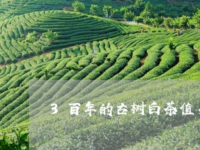 3百年的古树白茶值多少钱/2023033091714