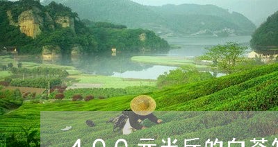 400元半斤的白茶怎么样/2023033002828